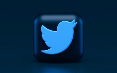 Quelles sont les spécificités du réseau social Twitter ?